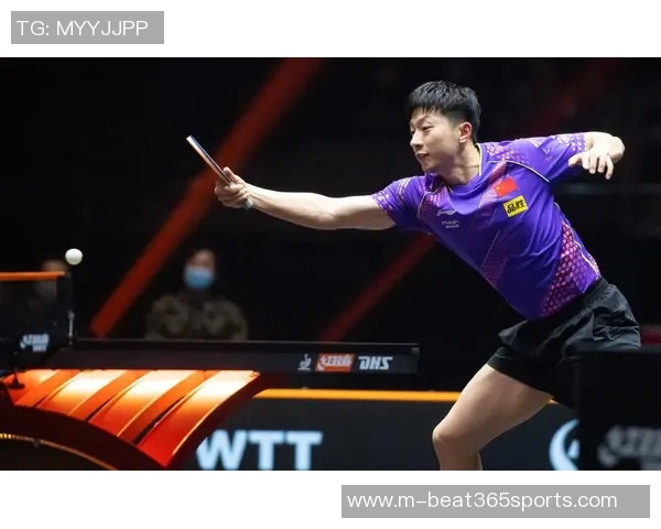 从零基础到高手之路乒乓球技术全方位提升指南