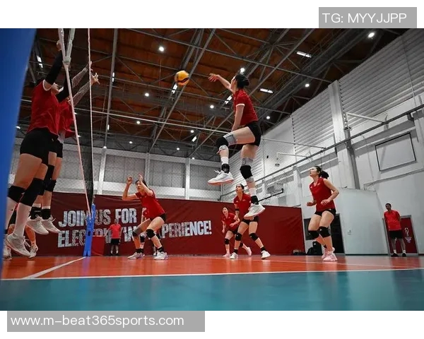 体育实时数据热议武汉排球队实力变革背后的训练理念与团队协作新策略